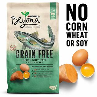 Purina Beyond Grain Free Natural Adult Dry Cat Food Real Ocean Whitefish