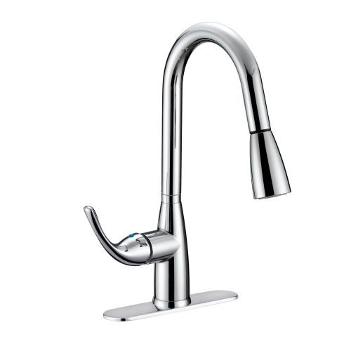 Aqua Plumb Kitchen Sink Faucet With Pull Down Sprayer Polished