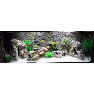 Jungle Bob Enterprises Inc 3d Aquarium Background Thin Beige 48x21 For 55 Or 75 Gallon 7797 Jungle Bob