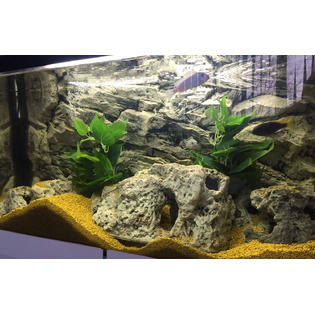 Jungle Bob Enterprises Inc 3d Aquarium Background Rock Grey 48x21 Inch For 55 Or 75 Gallon 7879 Jungle Bob
