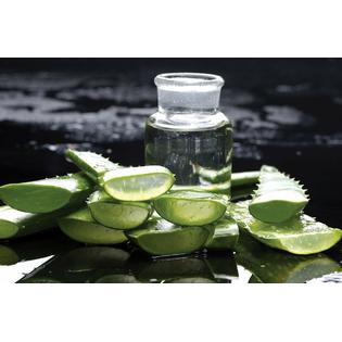 AloeMoist Natural Body Face Moisturizer Cream Organic Aloe ...