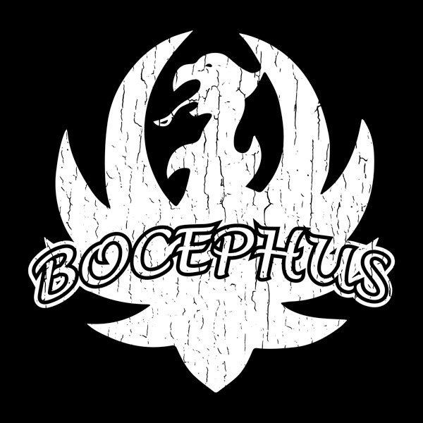 Next Level Bocephus Hank Williams Jr T Shirt Rock Country Soft Inks Music Tee Vintage