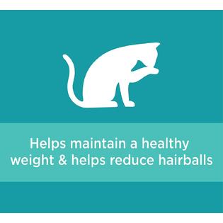 Iams Iams Proactive Health Adult Indoor Weight And Hairball Control Dry Cat Food