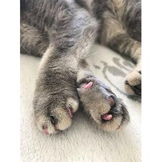 Ymccool 100pcs Cat Nail Caps Tips Pet Cat Kitty Soft Claws Covers