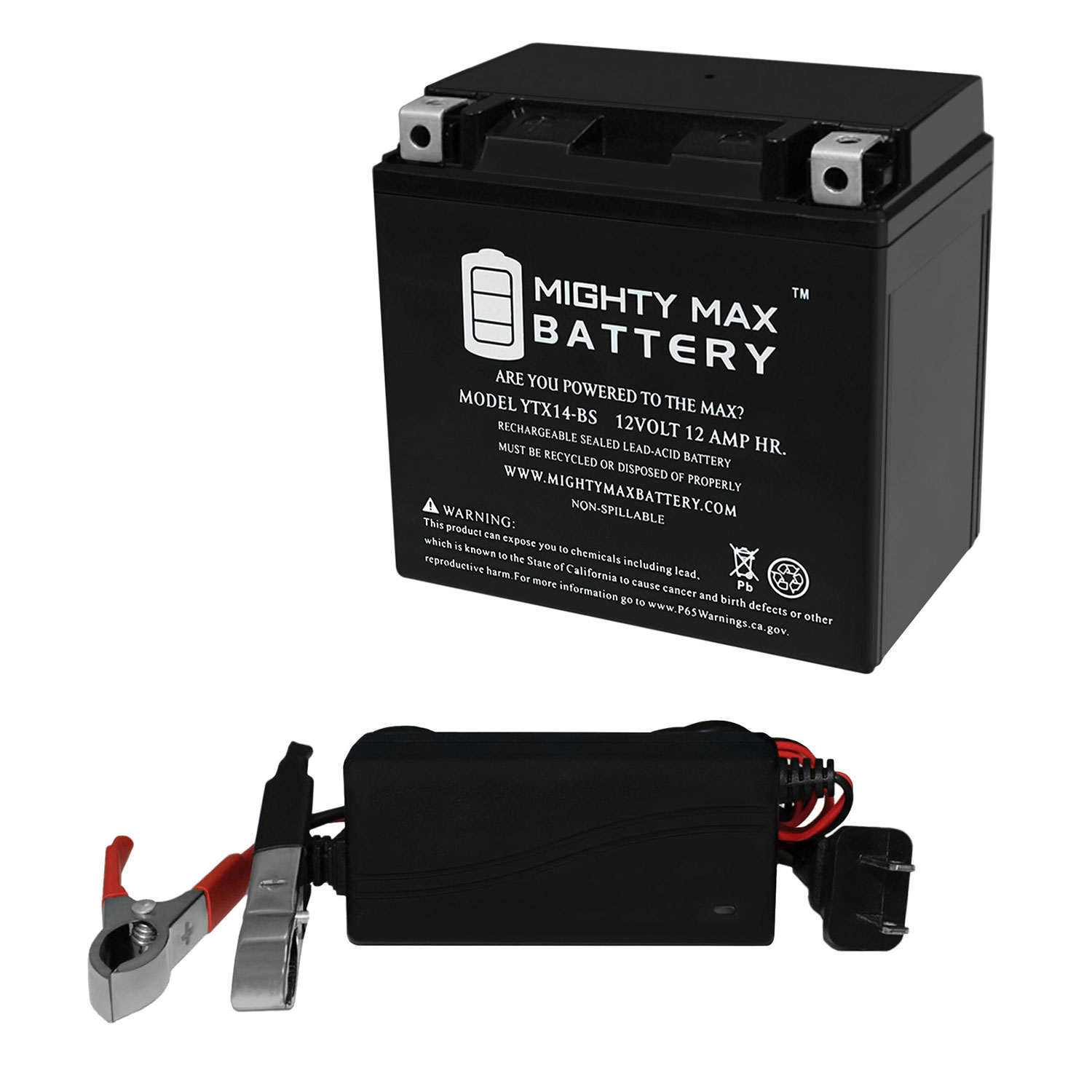 Mighty Max Battery YTX14-BS 12V 12AH Replaces YFM400FW Kodiak/Auto '06 +12V 1Amp Charger