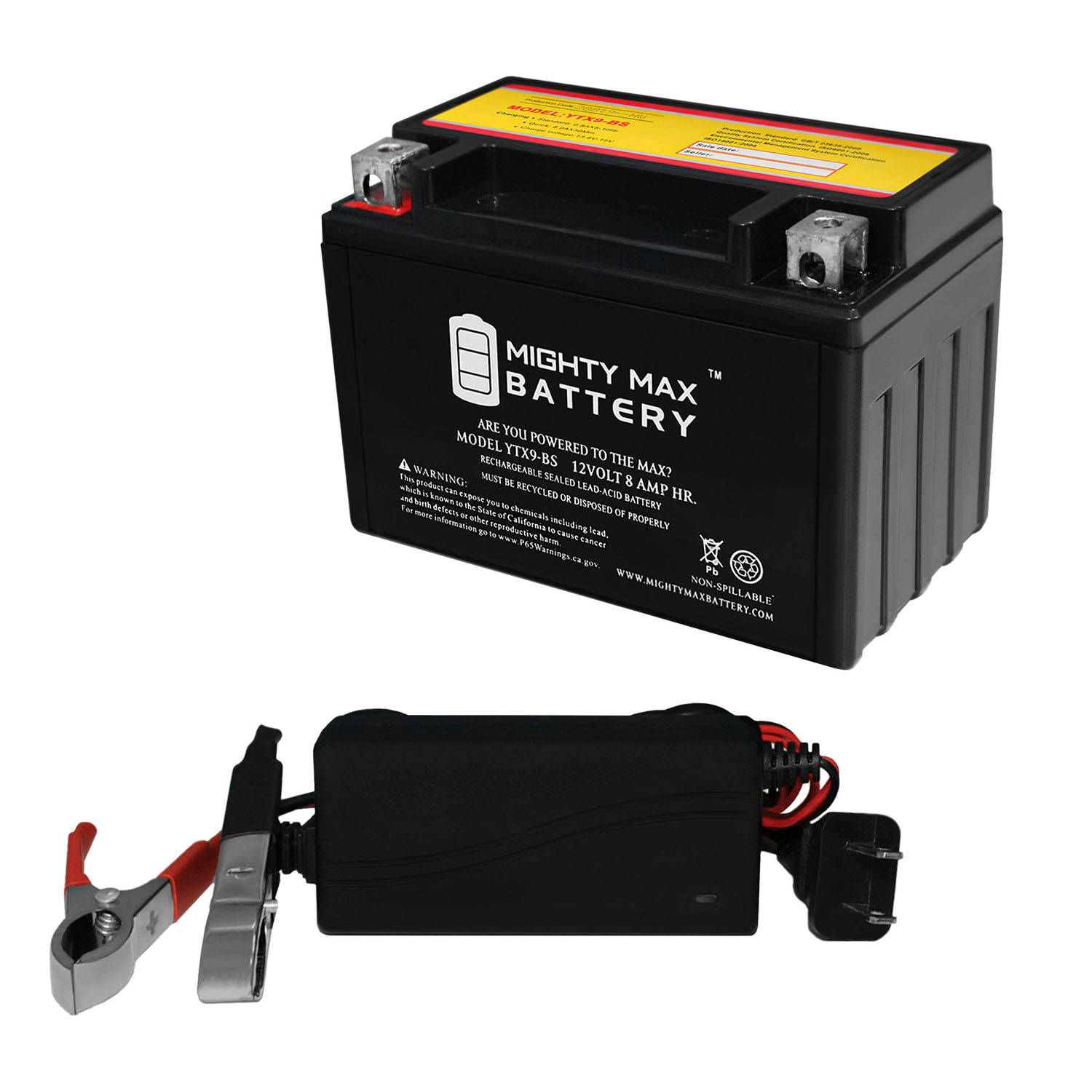 Mighty Max Battery TX9-BS Battery for 2011 LT-Z250 Quadsport + 12V 1Amp Charger