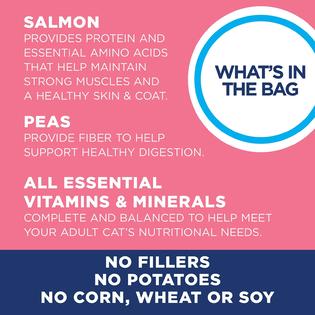 Natural Balance L I D Limited Ingredient Diets Dry Cat Food Green Pea Salmon