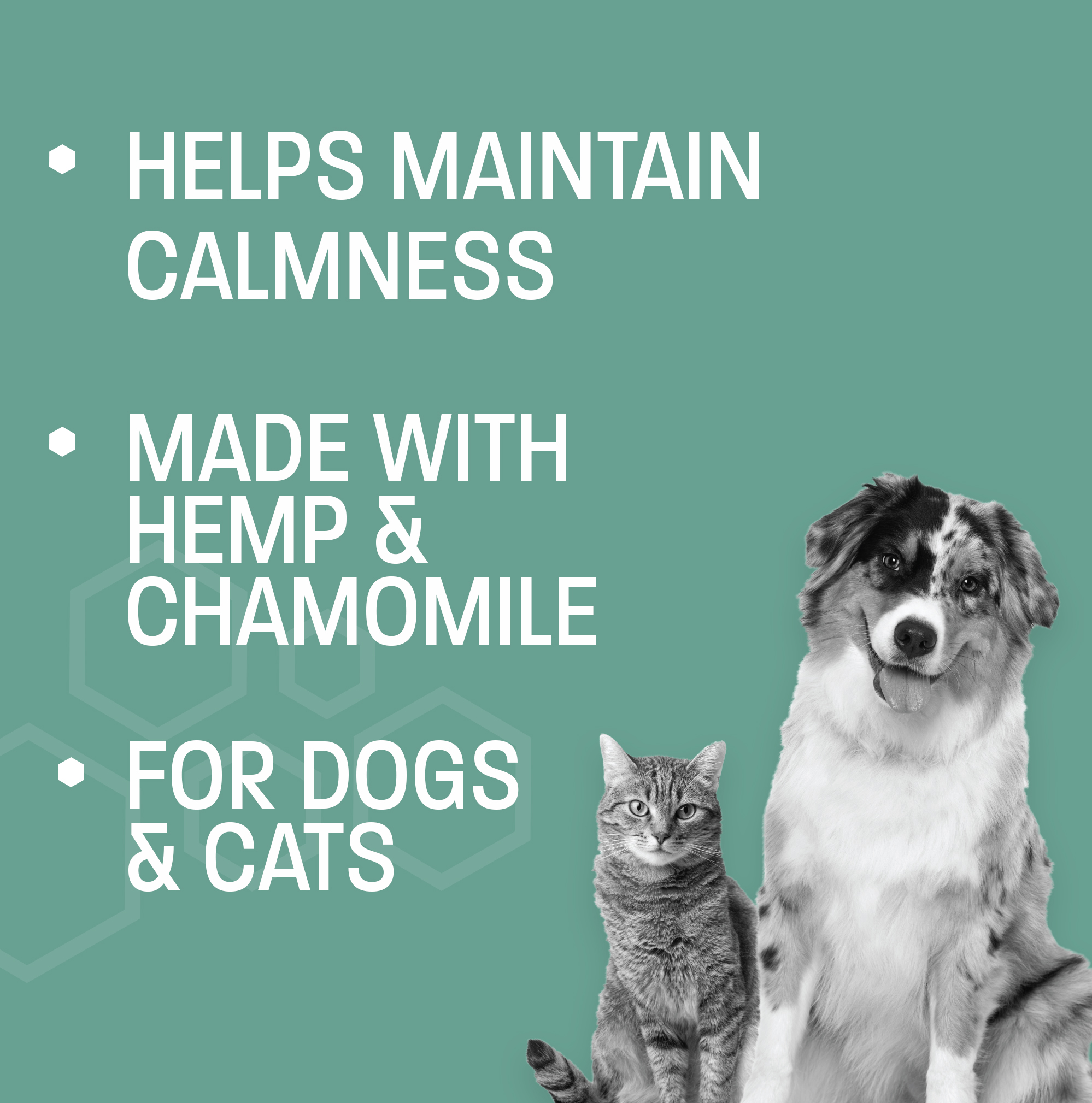 Pet Health Pros Dog Anxiety Relief Chews; Hemp-Infused, Natural Ingredients, Stress Relief; 60 Count, Zesty Chicken