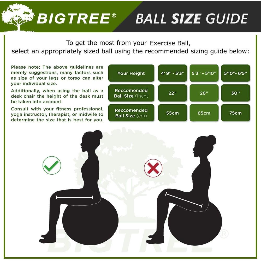 BIGTREE Exercise Ball Extra Thick Yoga Ball Chair Anti-Burst Heavy Duty Stability Ball with Quick Pump (Blue, 65cm)