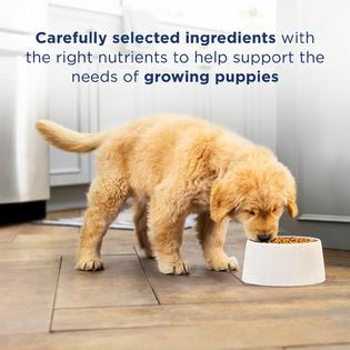 Natural Balance Limited Ingredient Diets Potato Duck Formula Dry Puppy Food
