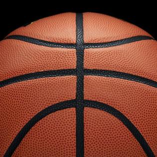 Wilson Evolution Indoor Game Basketball Intermediate 28 5