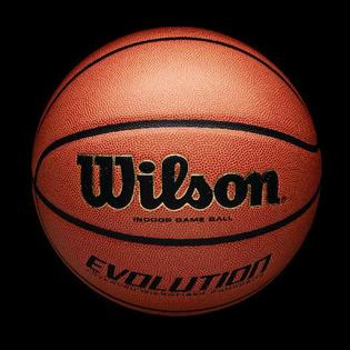 Wilson Evolution Indoor Game Basketball Intermediate 28 5