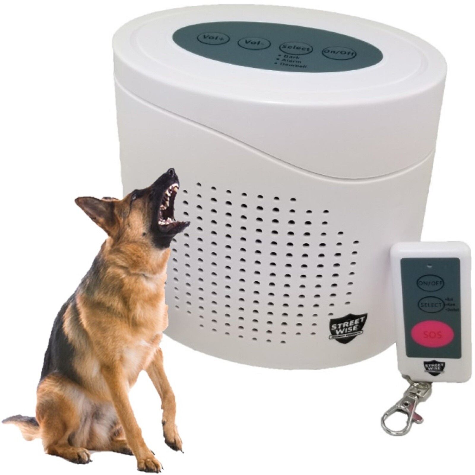 Will a dog set off a motion detector?