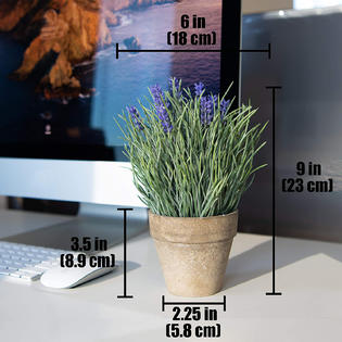 Download Sophia S Garden Sophia S Garden 3 Piece Small Artificial Plants In Free Get Wallpaper Sophia S Garden Sophia S Garden 3 Piece Small Artificial Plants In Desktop Wallpaper