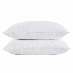 Hollander Homedics Quilted Superside Feather Down Pillow King