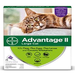 Advantage Ii Topical Flea Treatment Prevention Large Cats 4
