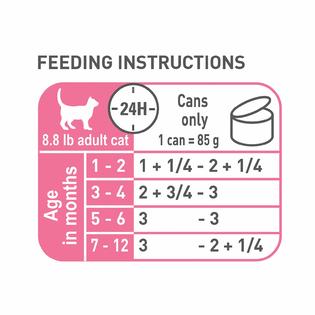 Royal Canin Feline Health Nutrition Thin Slices In Gravy Wet Kitten Food 3 Ounc