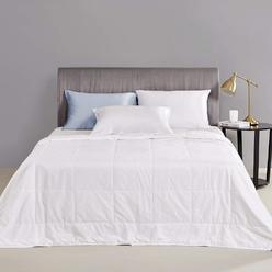 TKM Home Silk Comforter/Duvet/Quilt, 100% Natural Long Strand Silk, Cool For Summer, Machine Washable, Weight 0.75Kg Queen 86?