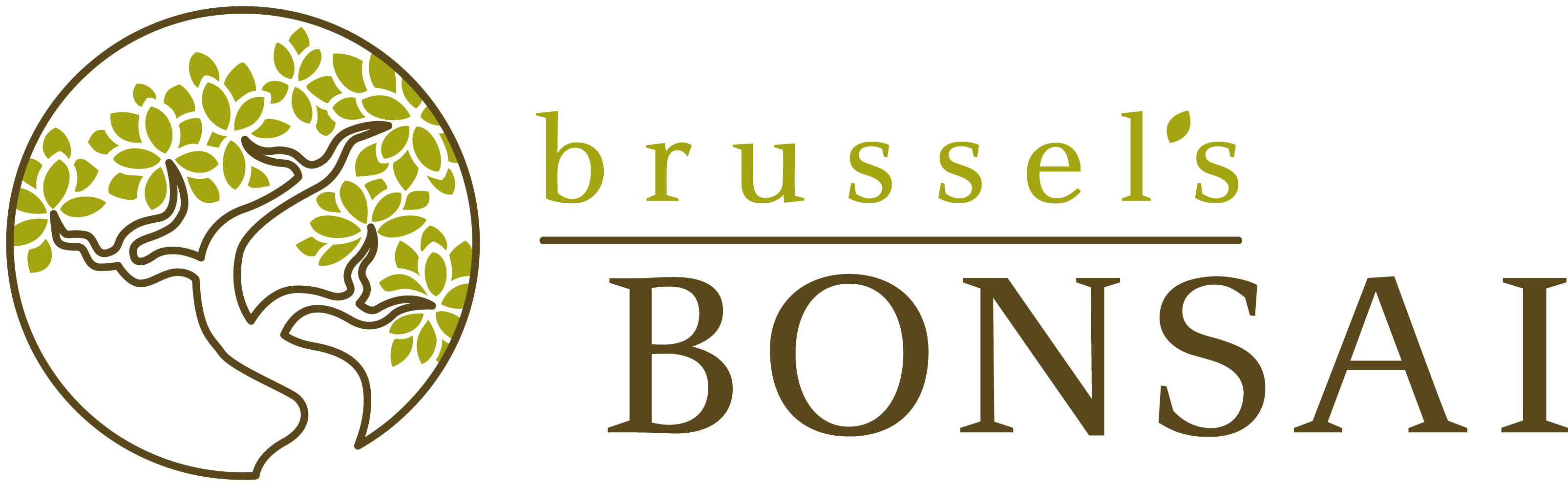 TKM Home Brussel'S Green Mound Juniper Bonsai - Large - (Outdoor)
