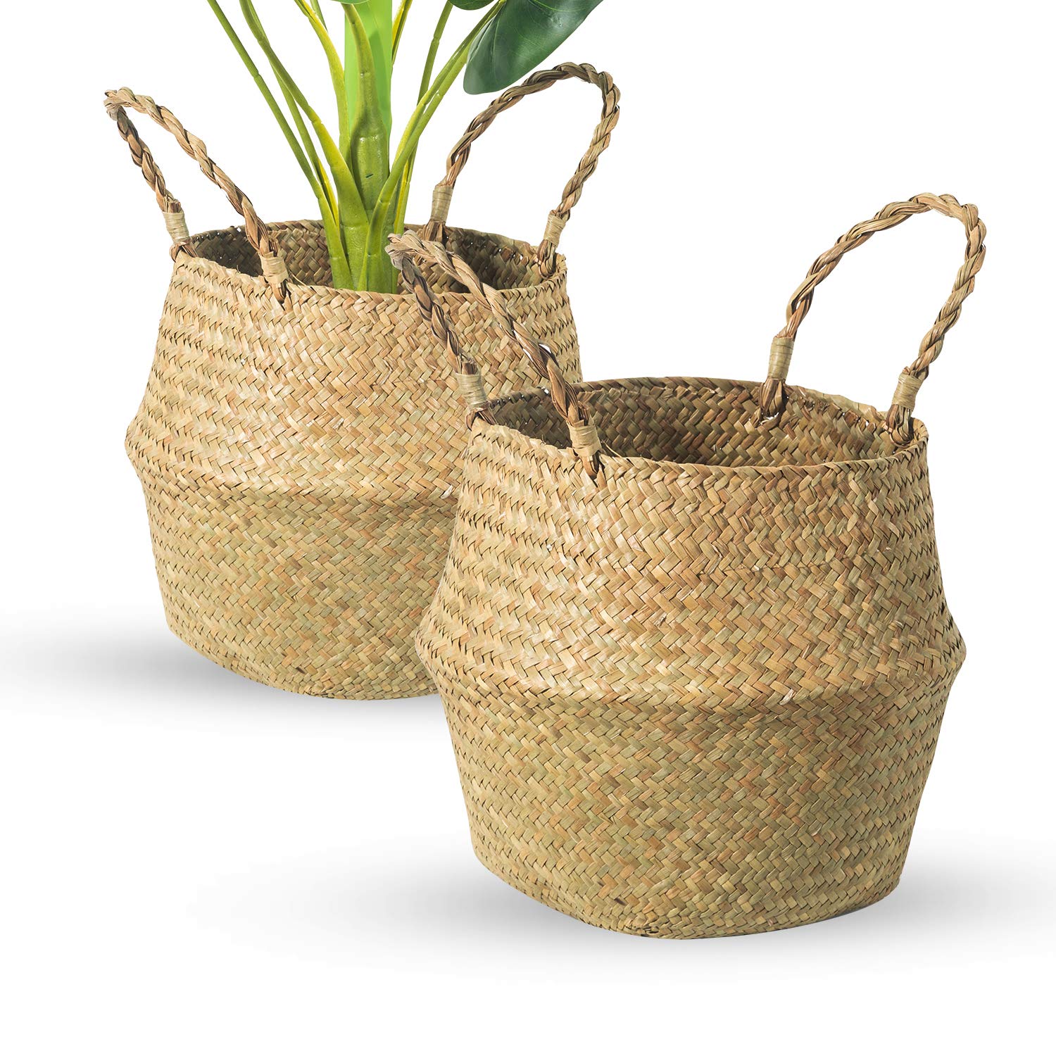TKM Home Seagrass Belly Basket, Set Of 2 Woven Plant Pot Holder Handmade Home Decor For Storage Plants Picnic Grocery Medium(?