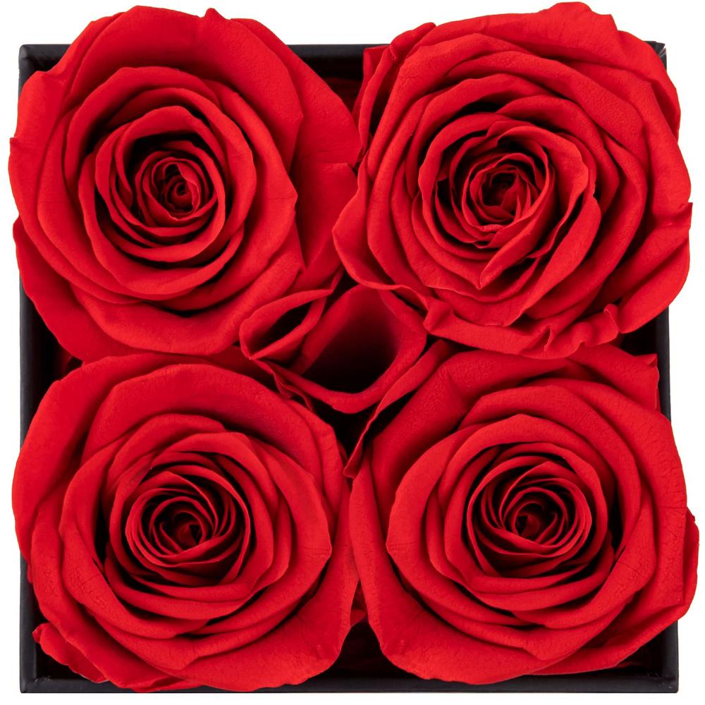 Great Choice Products Flowers For Delivery Prime - Roses In A Box ...