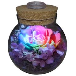 Great Choice Products Preserved Real Roses With Colorful Mood Light Wishing Bottle,Eternal Rose,Never Withered Flowers,For Bed?