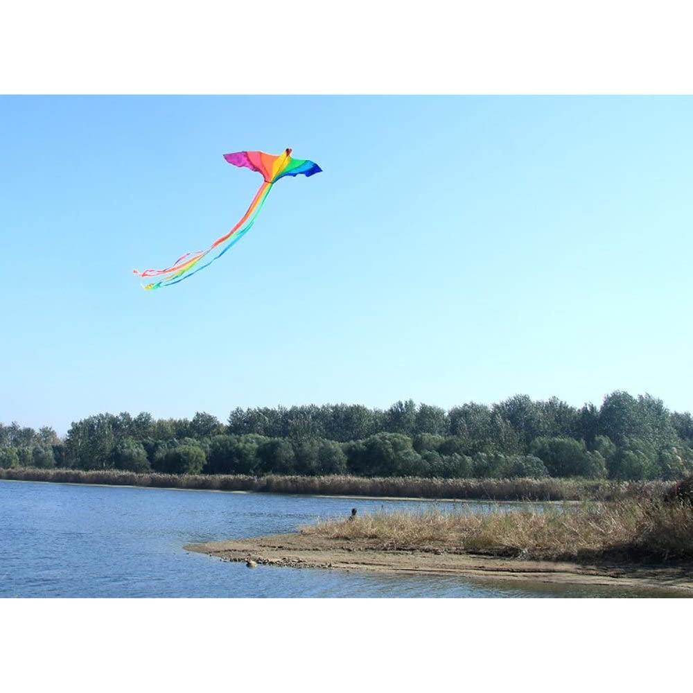 Great Choice Products -Strong Phoenix For Kids & Adults, With Long Colorful Tail!Huge Beginner Colorful Rainbow Bird Phoenix Kites 74-Inch Come Wit…
