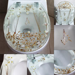 Great Choice Products Transparent Safety Resin Toilet Seat Sea Shell Aquarium Style Bathroom Decor Usa
