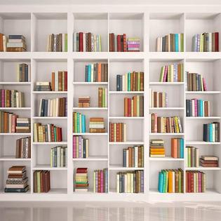 Zsd8s 00 B08bq 1 Lywygg 8x8ft Bookshelf Backdrop Bookcase Backdrops Library Backdrop Office Backdrop For Video Conference Vintage Party Backgrou Zsd8s 00 B08bq 1 Lywygg 8x8ft Bookshelf Backdrop Bookcase Backdrops Library Backdrop Office Backdrop For Video Conference Vintage Party Backgrou