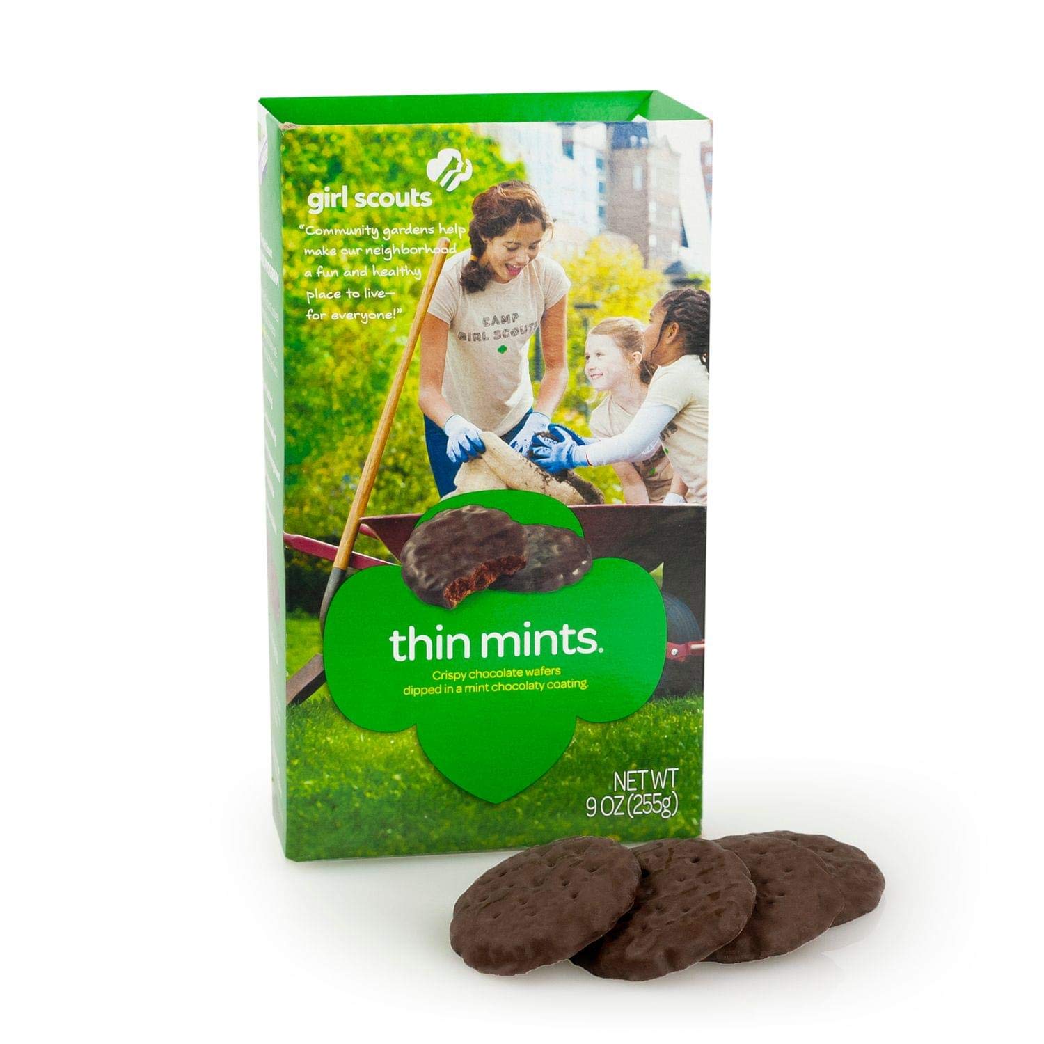 Girl Scouts Girl Scout Thin Mints Cookies (32 per box)