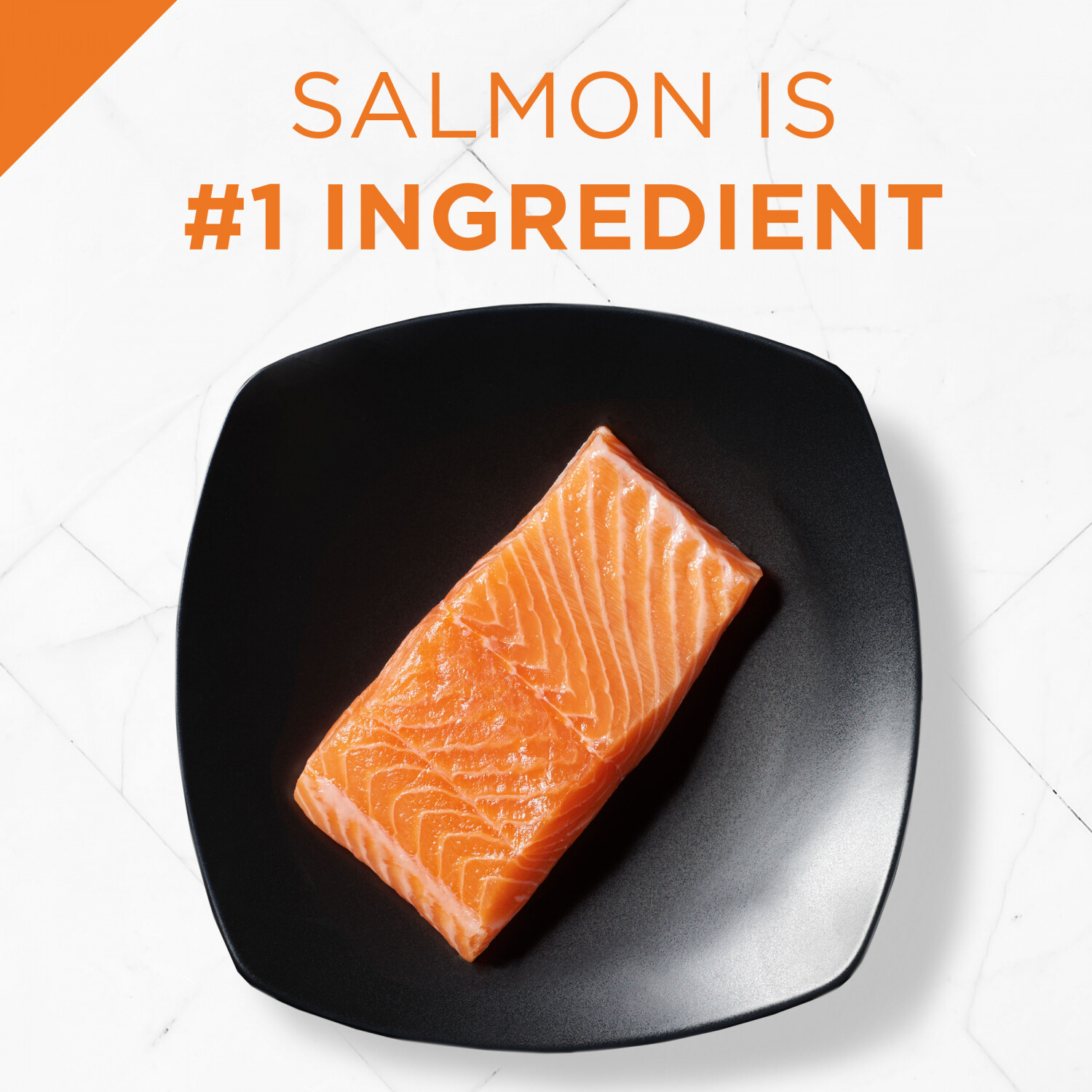 Purina Pro Plan With Probiotics High Protein Dry Cat Food Savor Shredded Blend