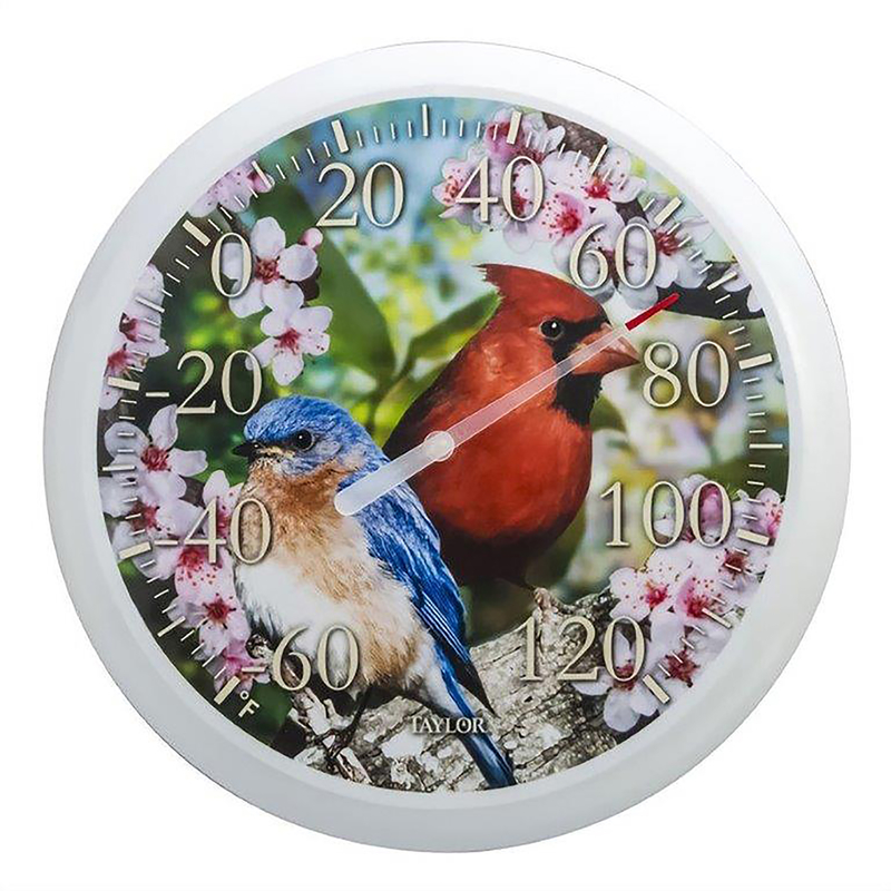 Taylor Cardinal/Blue Bird Dial Thermometer Plastic Multicolored 13.25 in.