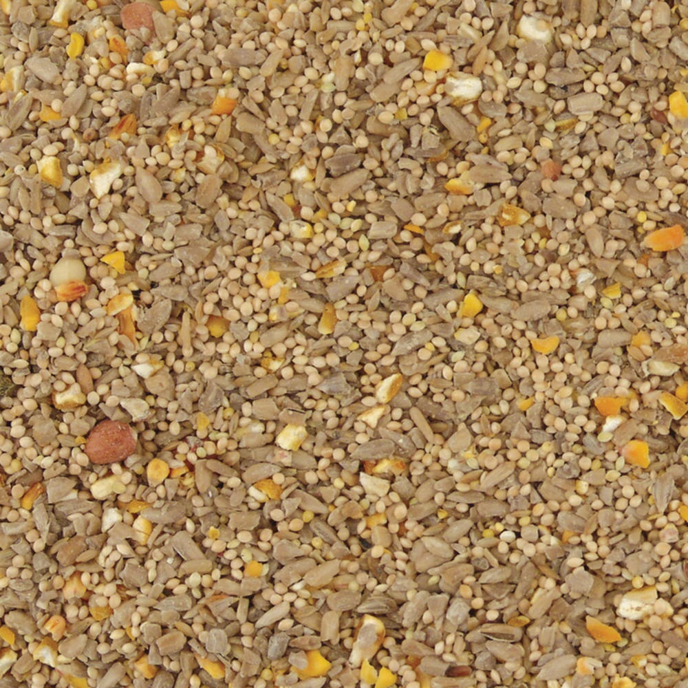 Kaytee Pet Products Kaytee Waste Free Songbird Hulled Sunflower Seed Wild Bird Food 5 lb