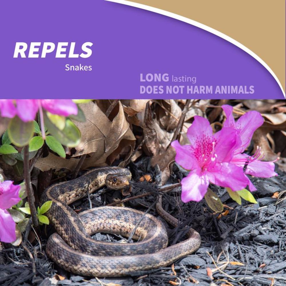 Bonide Snake Stopper Animal Repellent Granules For Snakes 4 lb