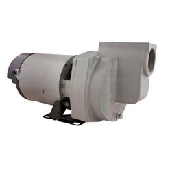 Star Water Systems 2 HP 4400 gph Cast Iron Sprinkler Pump