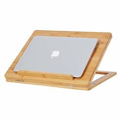 Padded Laptop Lap Desk