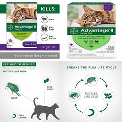 Cat Flea Tick Buy Cat Flea Tick In Pet Supplies At Sears