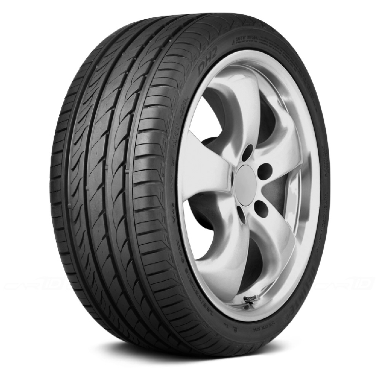 Delinte Dh2 P245/45R17 99W Bsw All-Season tire