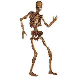 Beistle 6 Ft Life Size Jointed Skeleton Halloween Party Haunted