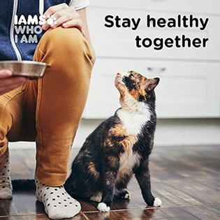 Iams Iams Proactive Health Adult Indoor Weight Hairball Control Dry Cat Food