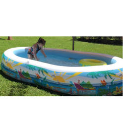 Swimming Pools Above Ground Pools Sears