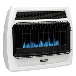 Direct Vent Propane Wall Heater