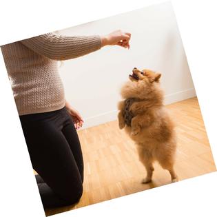 Life Essentials By Cat Man Doo Life Essentials By Cat Man Doo All Natural Freeze Dried Chicken For Dogs Ca