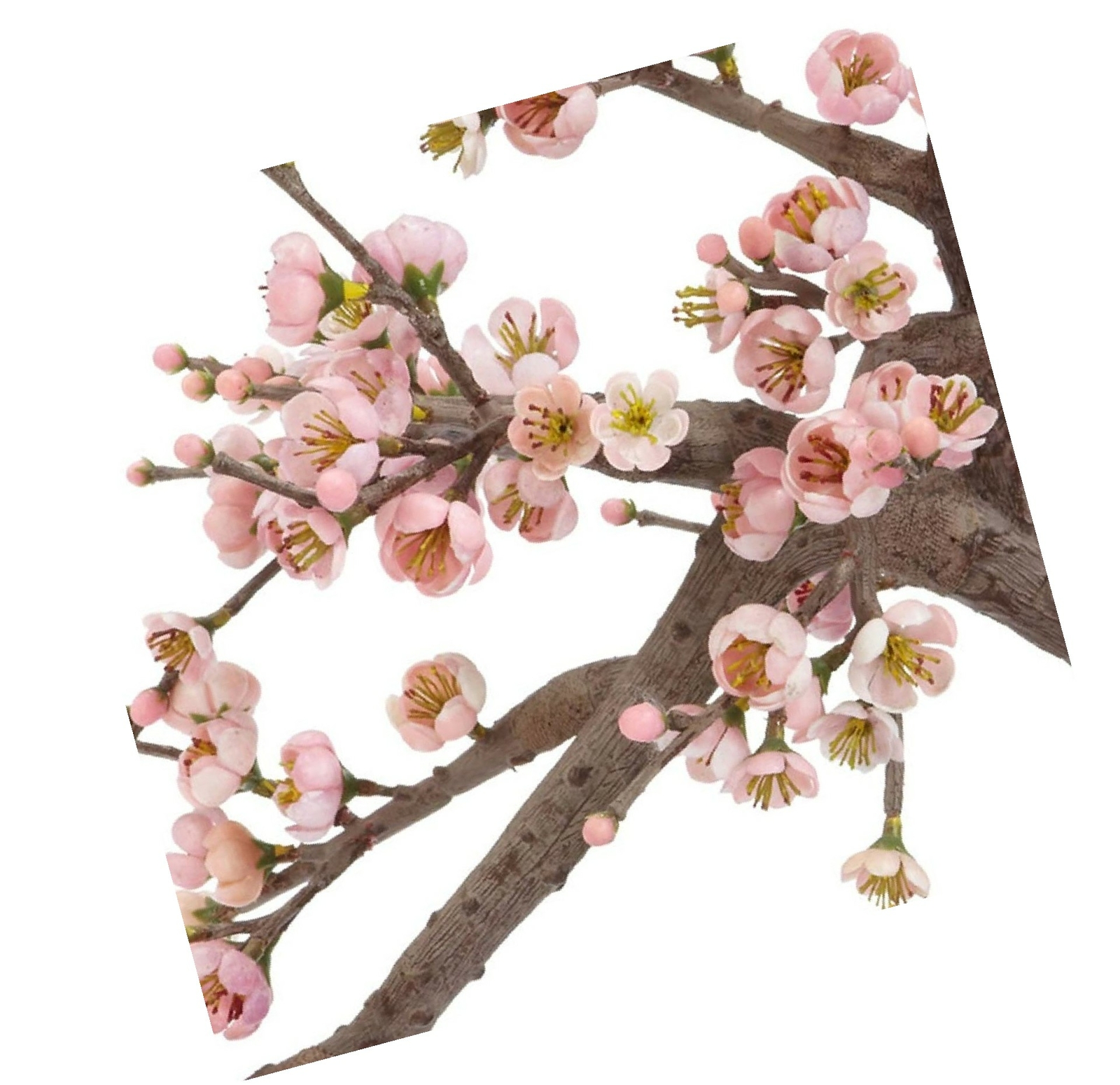 Nearly Natural 4764 15in Cherry Blossom Bonsai Silk Tree