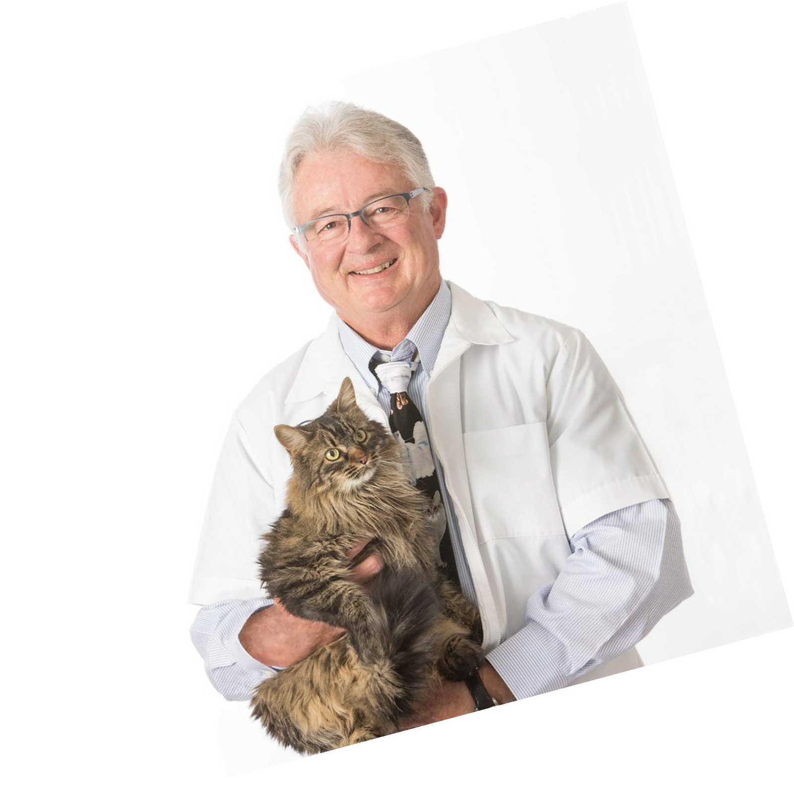 Dr Elsey S Premium Clumping Cat Litter Ultra Scented 40 Lb