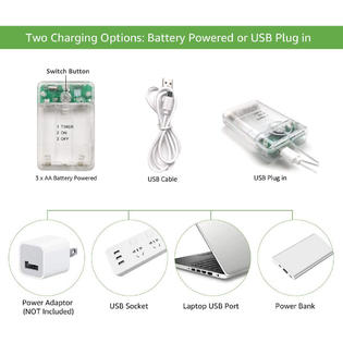 SunnyPark Globe String Indoor Bulb Battery Operated LED ...