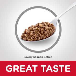 Hill S Science Diet Wet Cat Food Kitten Savory Salmon Recipe