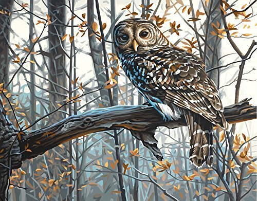 Painting By Numbers Artistisu