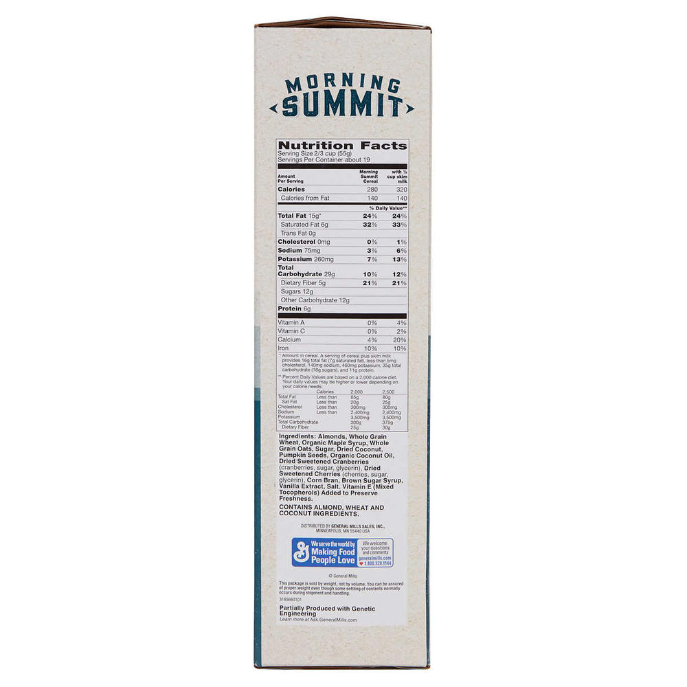 General Mills Morning Summit Cereal, 38 Ounce