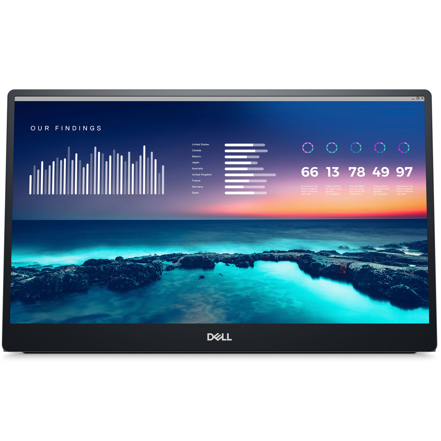 Dell C1422H 14" Full HD LCD Monitor 16:9 - Silver